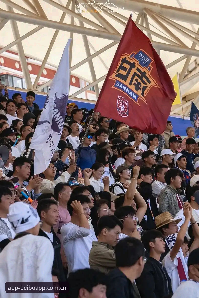 2026世界杯观赛冷场深度分析：签证危机与地缘政治如何浇灭球迷热情？